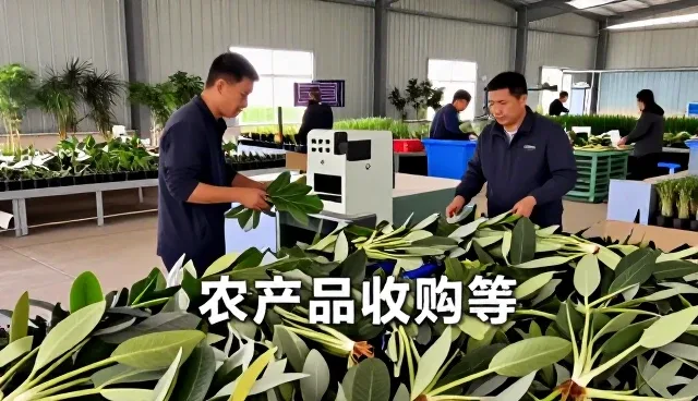 农产品客户使用农产品销售的反馈